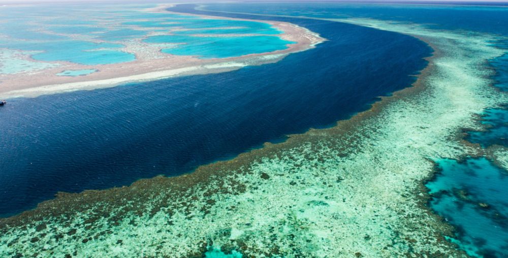 Rekordtemperaturen am Great Barrier Reef