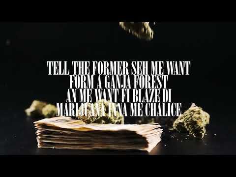FyaVerse - Ganja Forest (Prod. by ChevoBeatz) Latest Reggae 2025 March