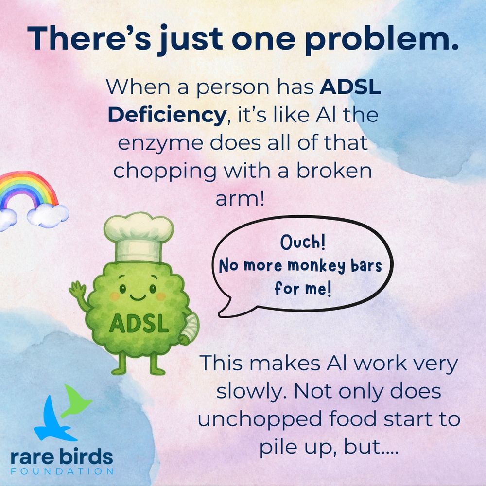 There’s just one problem. When a person had ADSL Deficiency, it’s like Al the enzyme does all of that chopping with a broken arm! This makes Al work very slowly. Not only does unchopped food pile up, but…