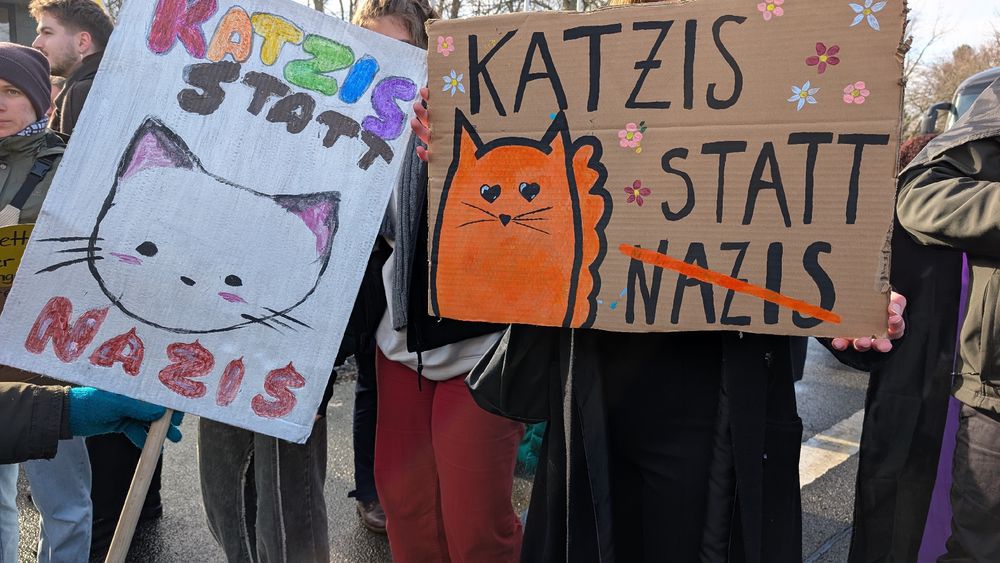 Plakate Katzis statt Nazis.