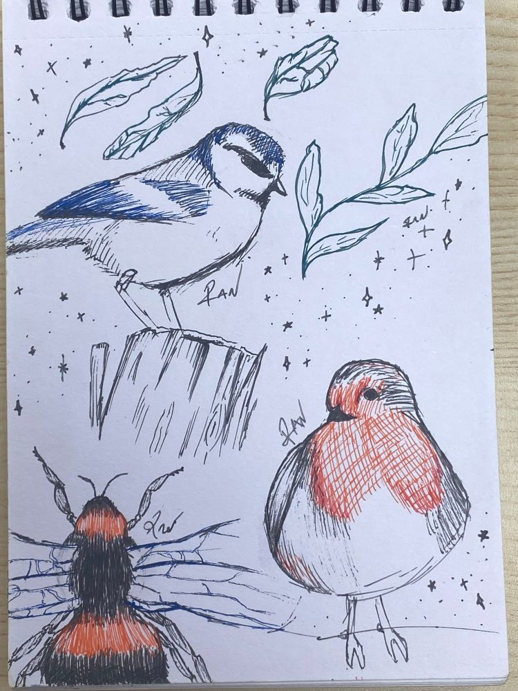 A pen drawing of bee, a tit bird and a British Robbin with stars and leafs