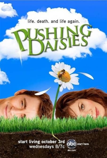 Capa do seriado Pushing Daisies com Lee Pace e Anna Friel deitados na grama com uma margarida entre seus rostos e uma abelha em cima da flor