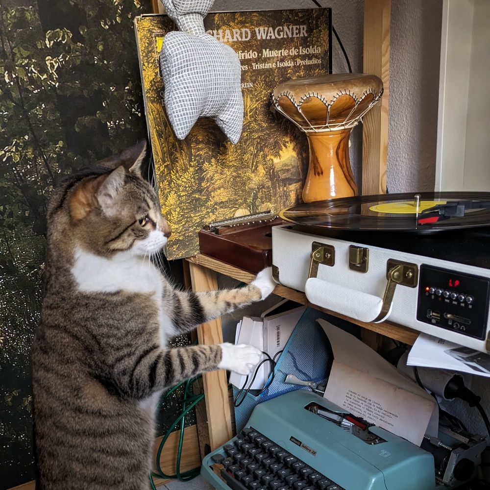Gata analizando de cerca un tocadiscos