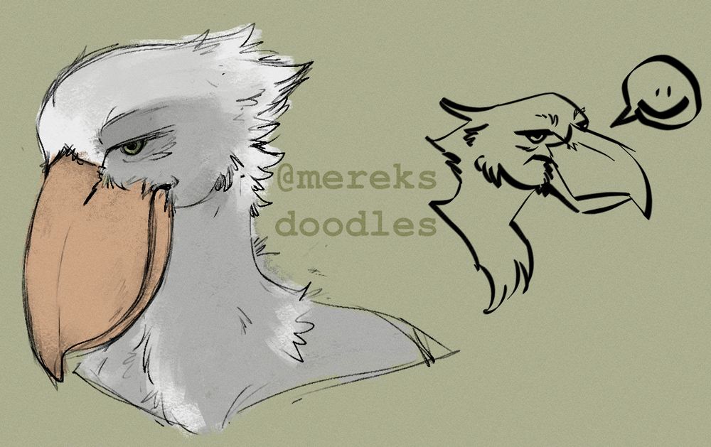 Two portraits of a shoebill stork, looking rather grumpy.