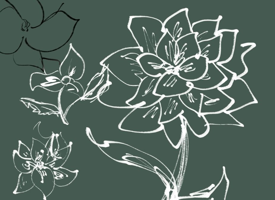 Digital sketches of white flowers on green background