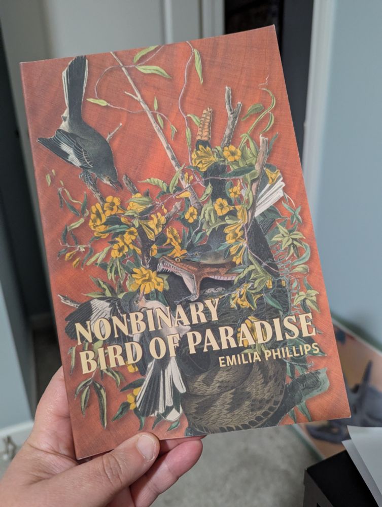 Cover art for a poetry book showing birds of paradise in a brick red background. 