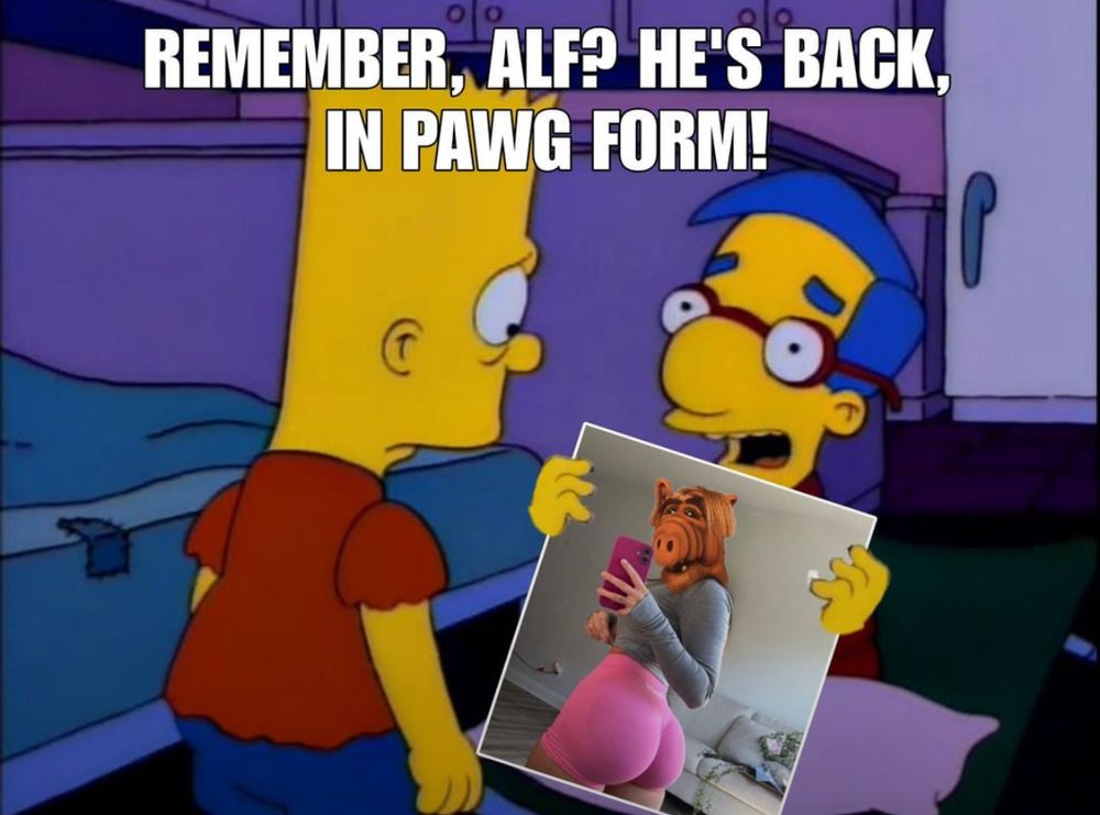 Millhouse, full of beans, holds up for Bart’s perusal a glossy 8 x 10 of Alf, only Alf’s body has been replaced by a feminine form with shapely and desirable buttocks. 

Millhouse (full, as I said, of beans) says to a nonplussed Bart, “Remember Alf? He’s back, in PAWG form.” 