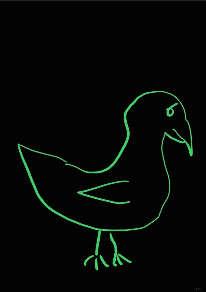 The most beautiful picture of a bird anyone has ever seen. 