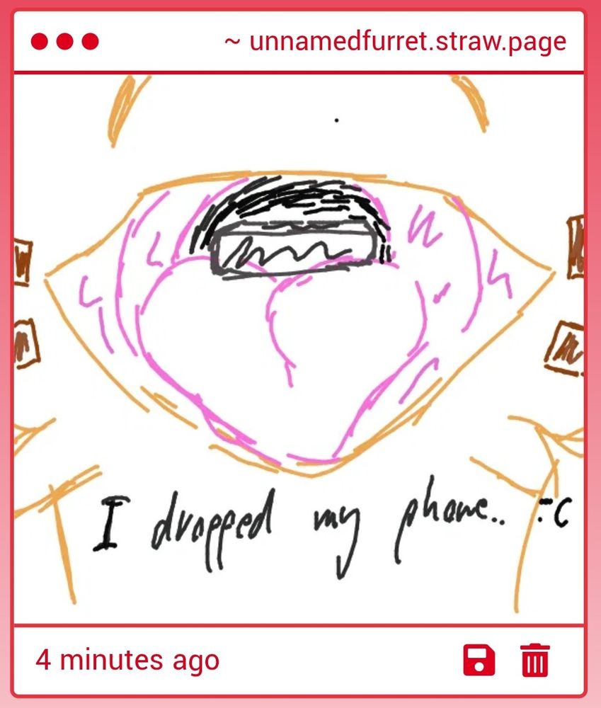 I dropped my phone... :(