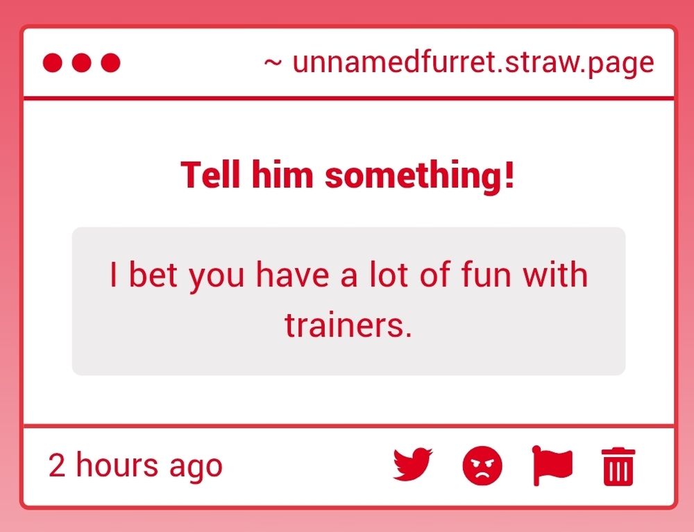 I bet you have a lot of fun with trainers.