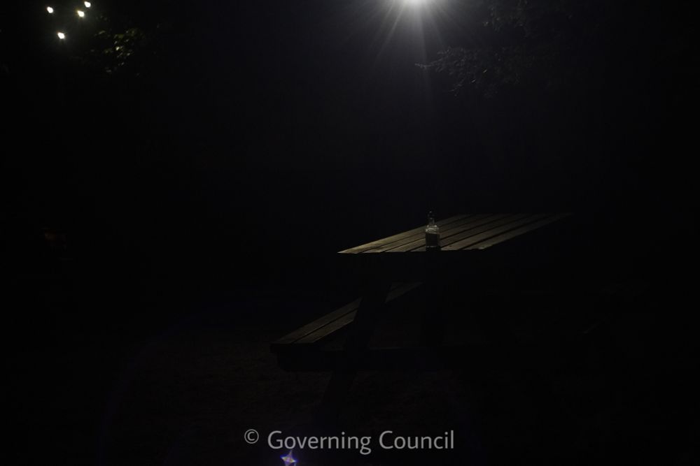 A picnic table illuminated merely by a vintage streetlight. There is a glass container of salt placed at one end.
