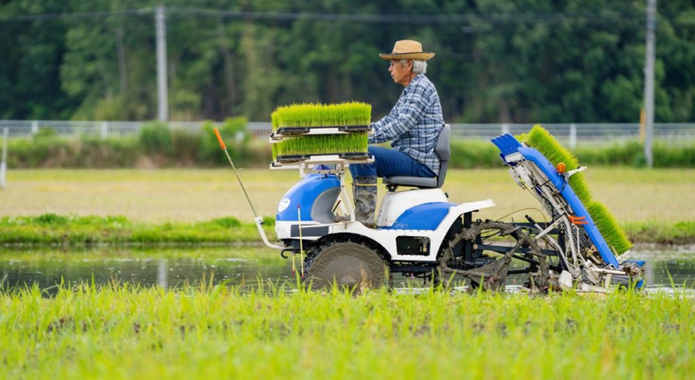 Creating a future for rice cultivation