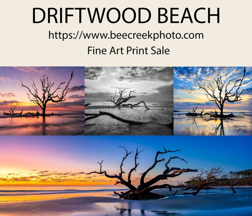 Driftwood Beach on Jekyll Island: A Photographer’s Paradise