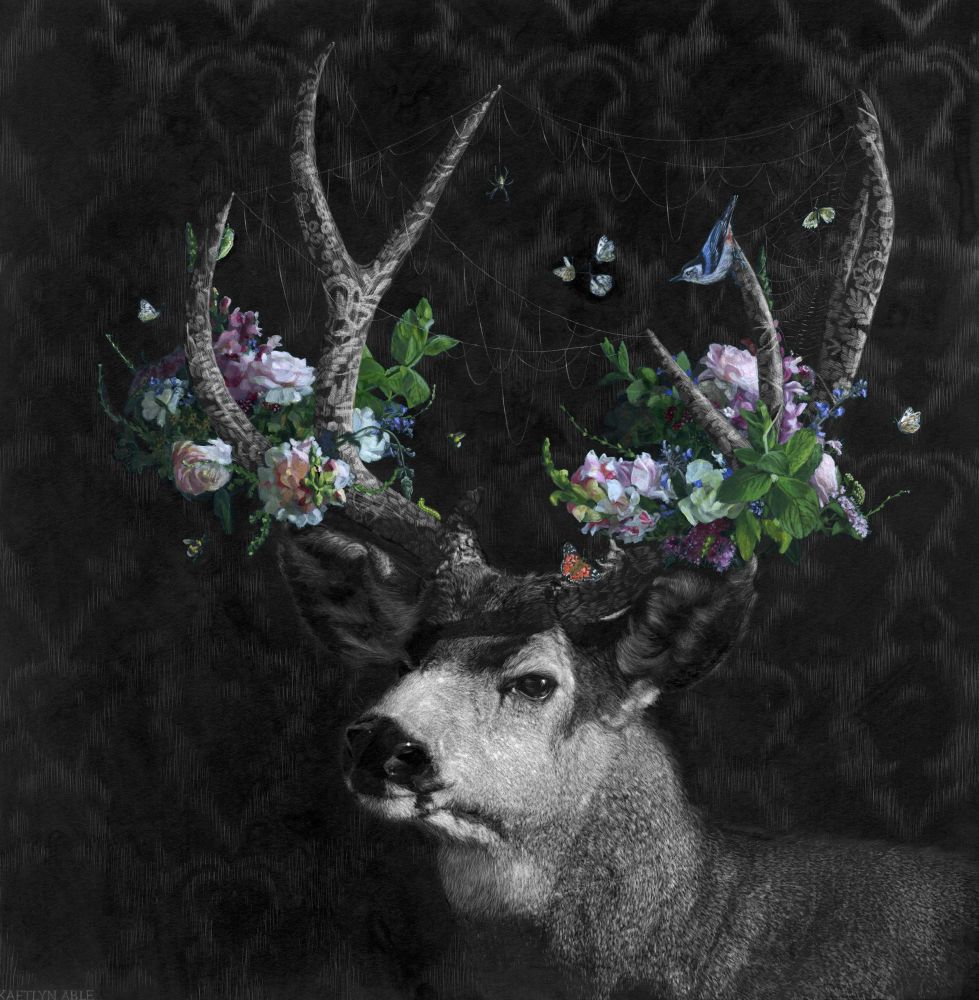 Mixed media 2-D artwork created using scratchboard drawing and acrylic painting techniques.  A mule deer with large antlers gazes at the viewer in 3/4 profile.  The antlers bear a decorative surface pattern reminiscent of lace.  Soft pink and white flowers and green leaves appear to grow from the antlers.  A spider web and cobwebs stretch and hang between the tines.  A host of wildlife creatures perch, flutter around and hang from the antlers and webs.  They include a nuthatch, cabbage white butterflies, painted lady butterfly, inchworm (cabbage white larva) bumblebees, and garden spider.  