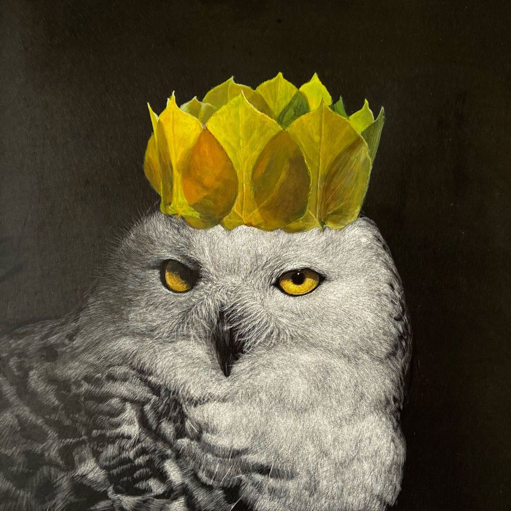 A snowy owl wearing a golden aspen leaf crown gazes intently at the viewer.  The owl is white with black markings.  His golden eyes match his crown.