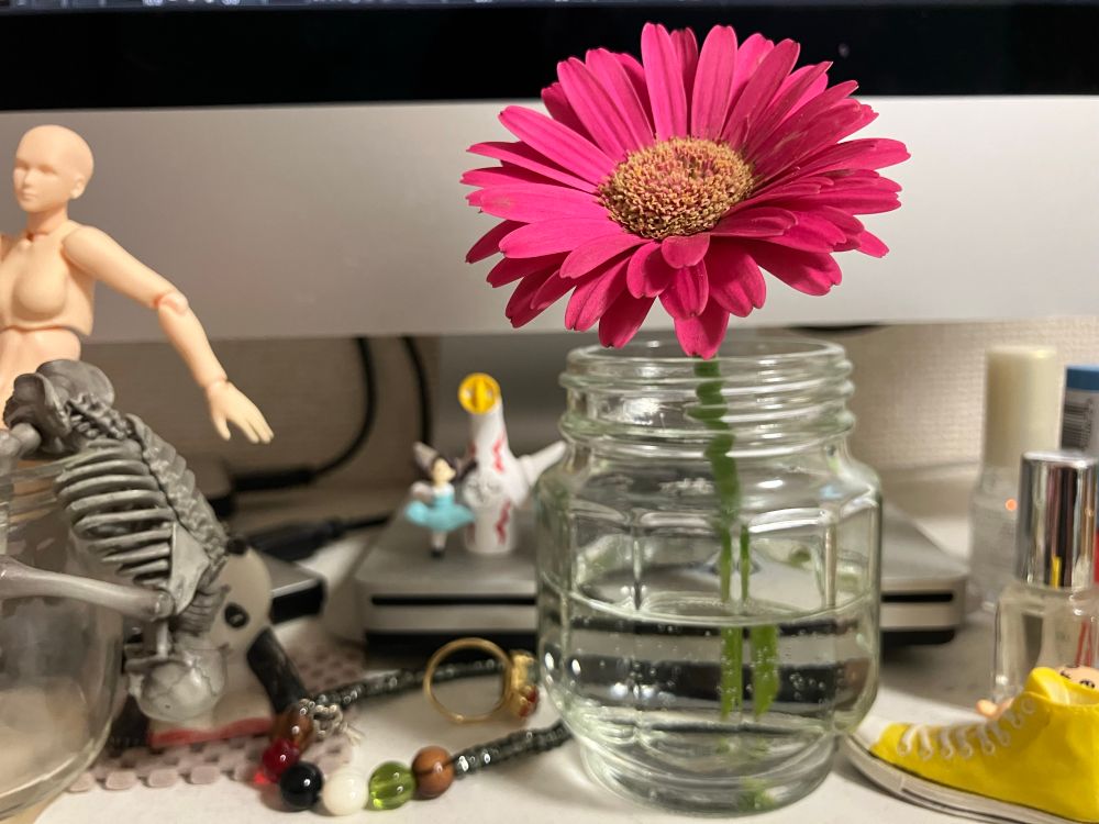 PCの前に雑然と置かれた小物たちを写した写真。一輪挿しのガーベラ、スニーカーの形の消しゴム、指輪・ブレスレット、小瓶、骸骨のフィギュア、その他小さなフィギュアや置物など雑然としている。
