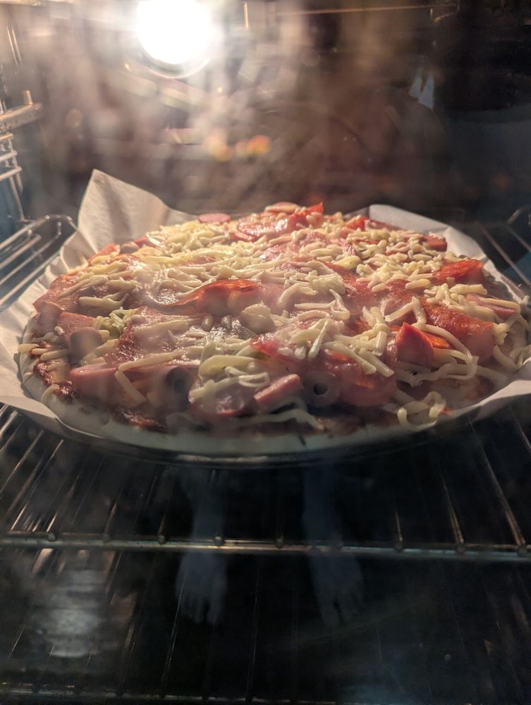 A photo of an uncooked homemade pizza inside an oven