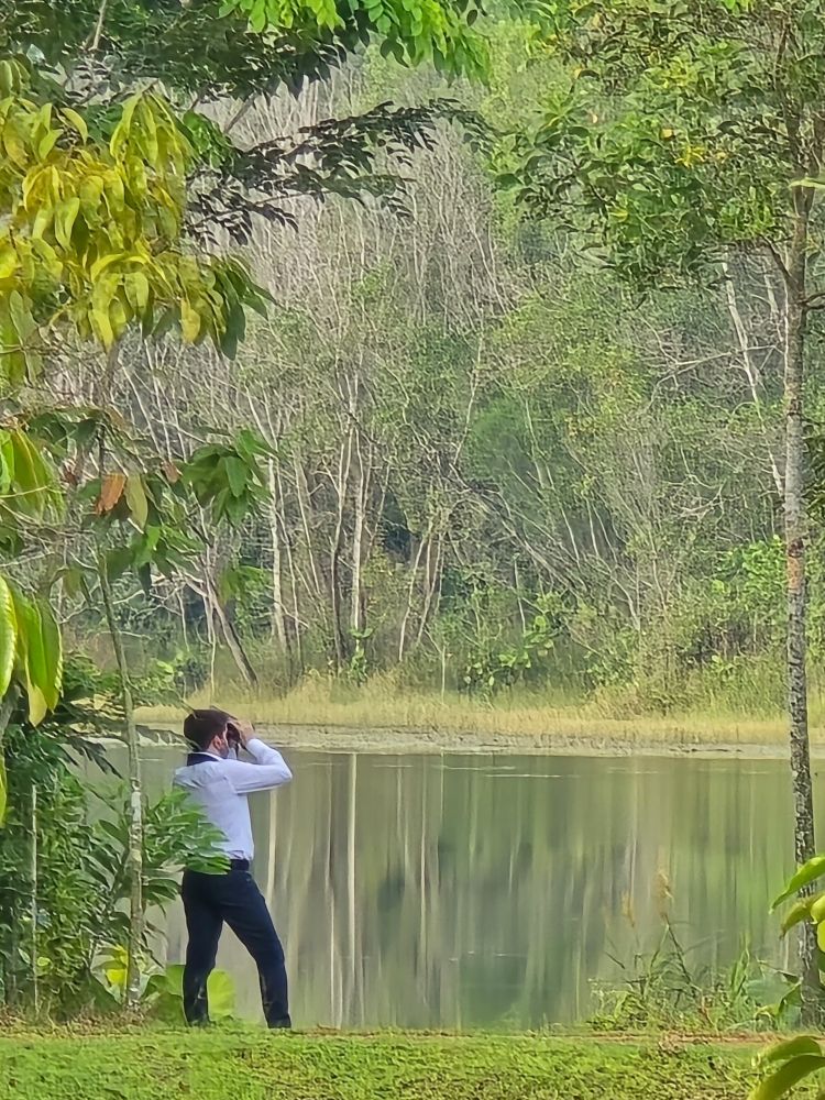 Photo of me seen from the back looking through binoculars over a lake, lush green vegetation surrounding me in a soft yellowish morning light. I'm wearing a formal white shirt and blue pants.