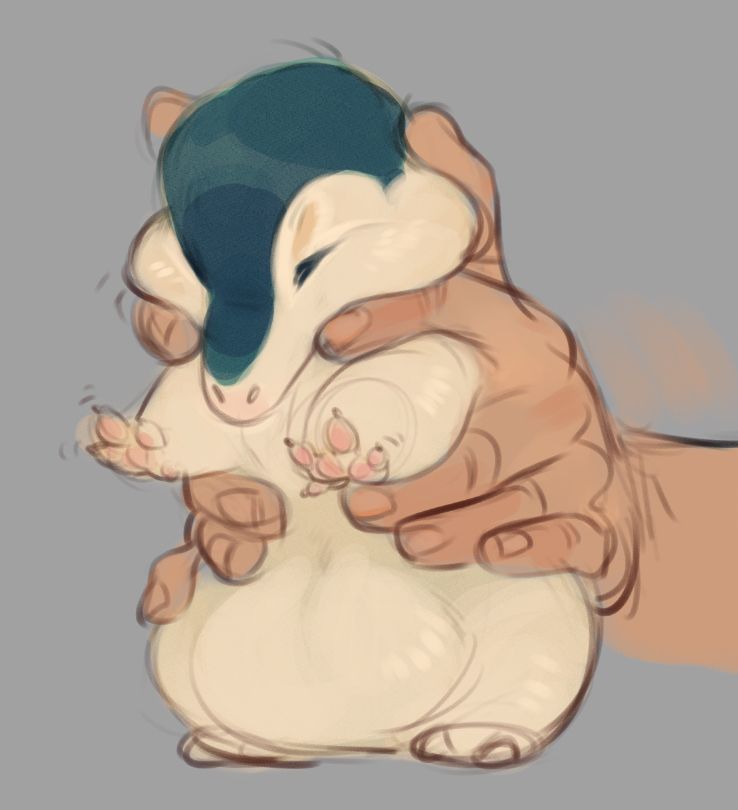 My cindaquil, Chester, being held but he’s very squishy. Truly a bag of mashed potato with fur
