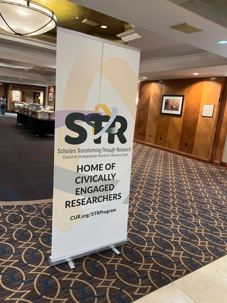 Banner from the STR program 