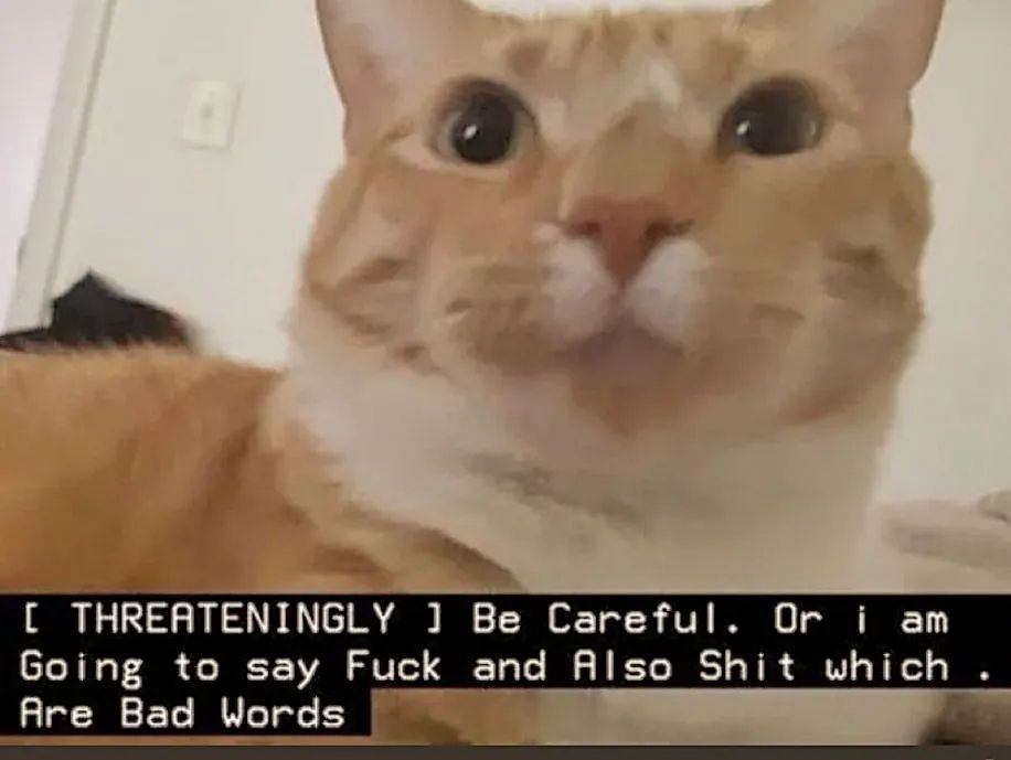 [ THREATENINGLY ] Be Careful. Or i am Going to say Fuck and Also Shit which . Are Bad Words