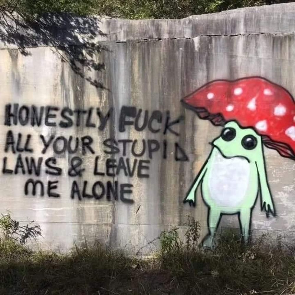 Honestly Fuck All Your Stupid Laws & Leave Me Alone