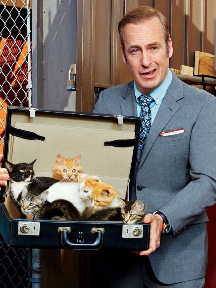 Bob odenkirk with cats in a briefcase.