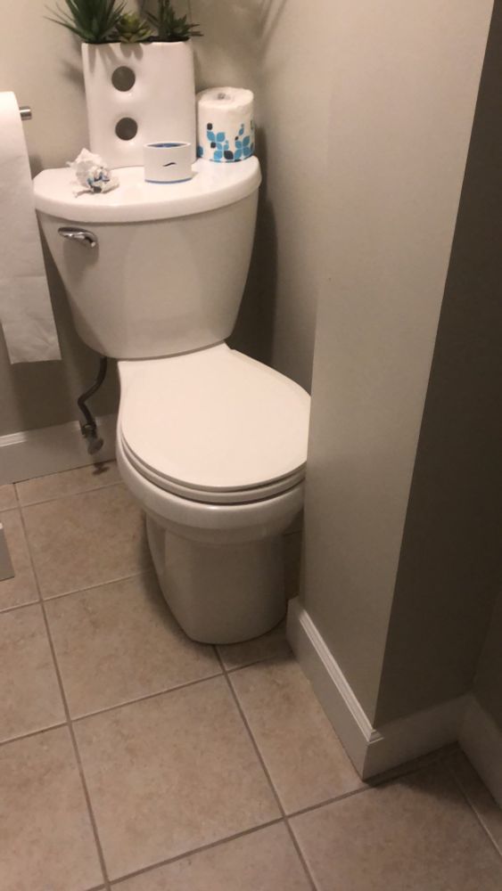 An Inconvenient Toilet