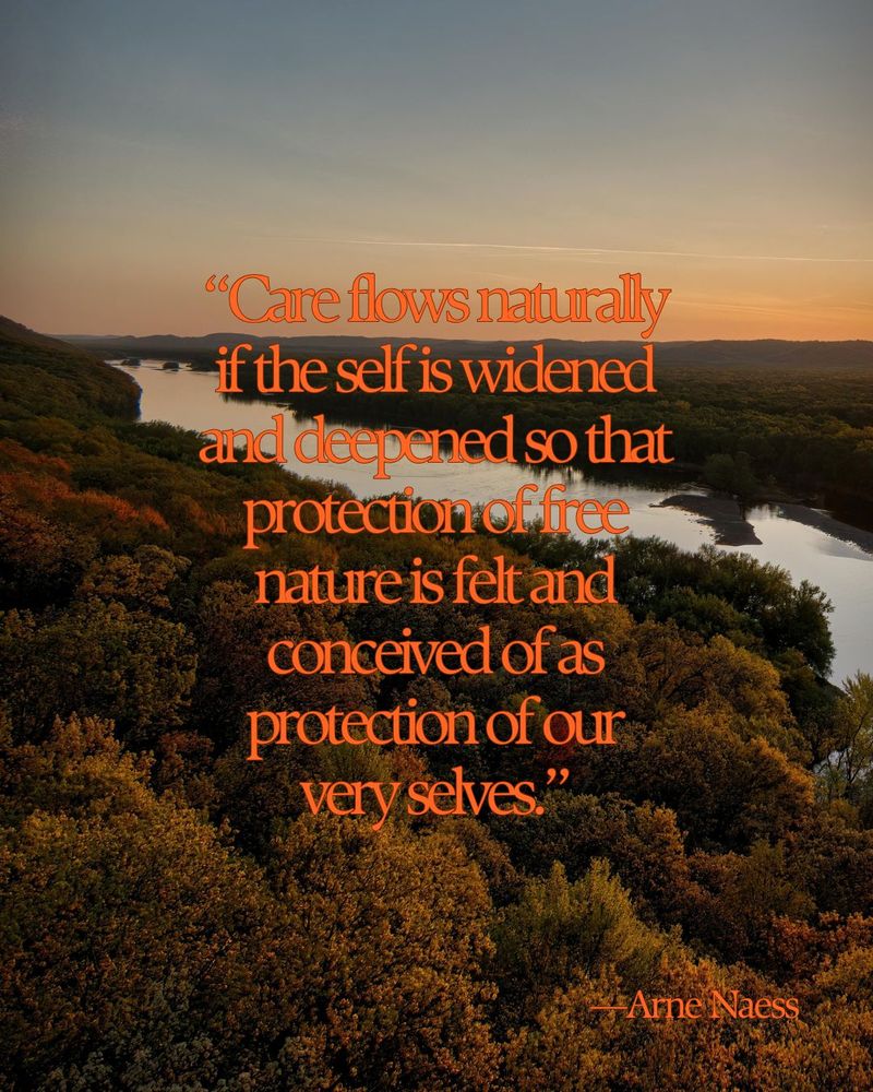 Aerial view of fall trees along a riverbank at sunset. Text overlay reads: "Care flows naturally if the self is widened and deepened so that protection of free nature is felt and conceived of as protection of our very selves." Quote by Arne Naess, a Norwegian philosopher who coined the idea of deep ecology.