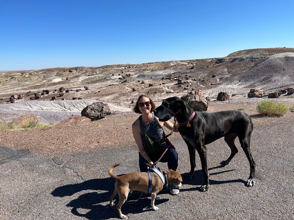 A smiling woman kneeling by two dogs—one a very large Great Dane and the other a small brown mixed breed dog. The background is the landscape of a petrified forest with a bright blue sky