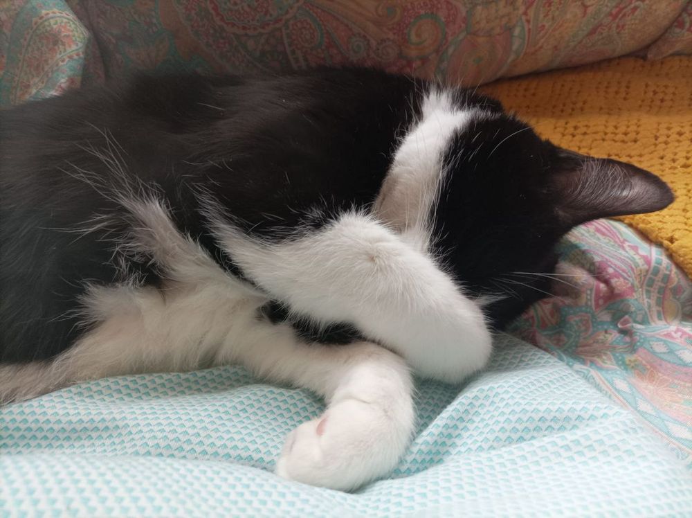 Misha waking up.
