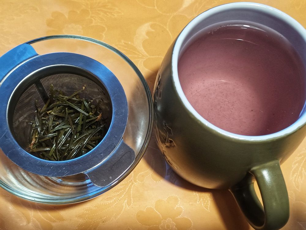 Nebeneinander stehen ein mit ausgelaugten Tannennadeln gefülltes Teesieb aus Metall in einem Glasschälchen und ein innen weißer, außen grüner Teepott mit einer leicht rosa Flüssigkeit.