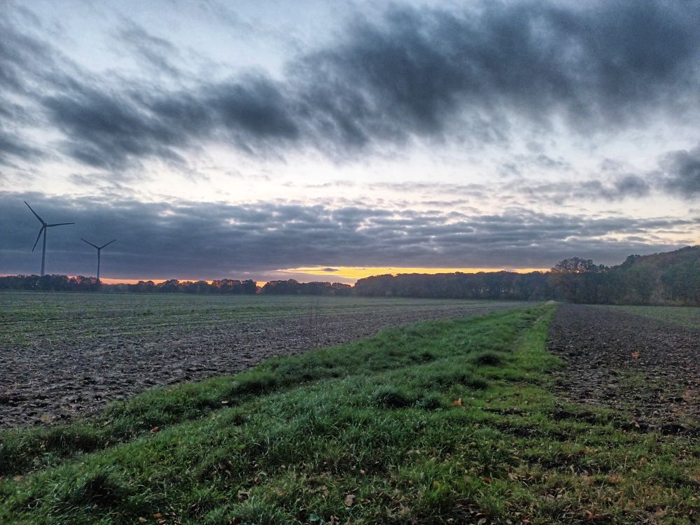 Abendhimmel hinter leeren Feldern.