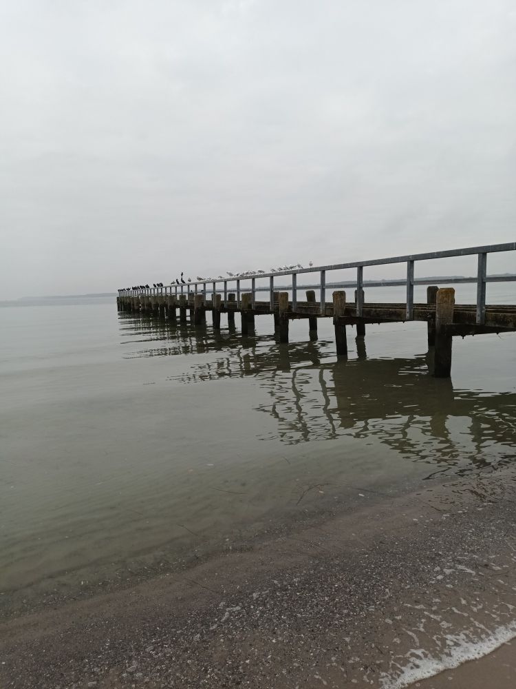 Ein sehr langer, ins Meer hinausführender Steg mit Geländer, auf dem in der Ferne Vögel (Möwen und Kormorane) sitzen. Die Farben sind grau und eher trist. Das Wasser hat nur leichte Wellen mit ewinzigen Schaumkrone im Vordergrund. Die Seebrücke spiegelt sich verzerrt im Meer.