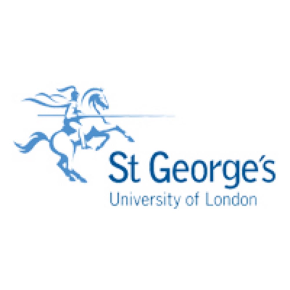 Job Opportunity at St George's University of London: Senior Research Fellow (Social Sciences)