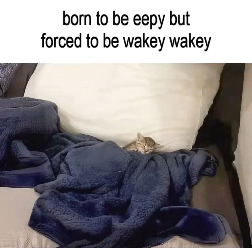 meme of a kitten sleeping in a blanket. text reads: 

born to be eepy, but forced to be wakey wakey