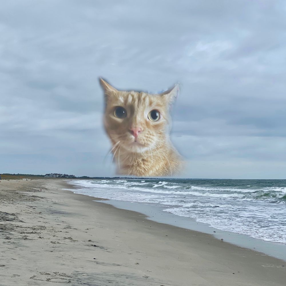 a photo of the beach. on the horizon is a faint image of my cat, gus, staring back at me from the water.