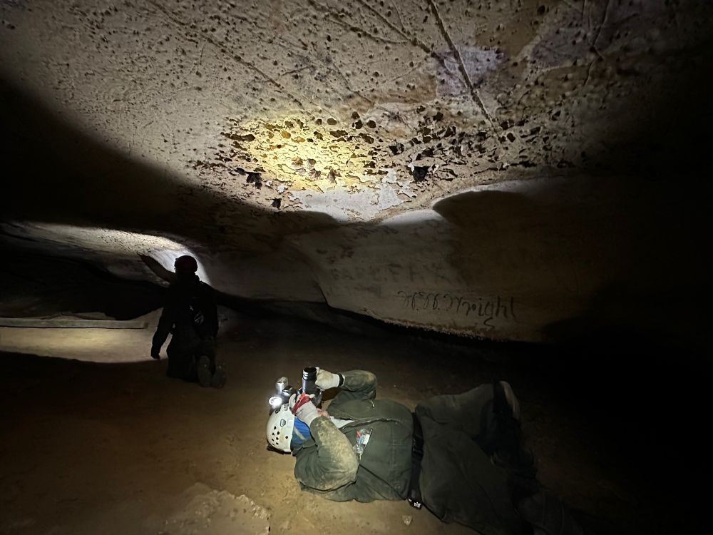 Me taking pictures of clusters of roosting Indiana bats (Myotis sodalis). We were in a side passage from the main room.