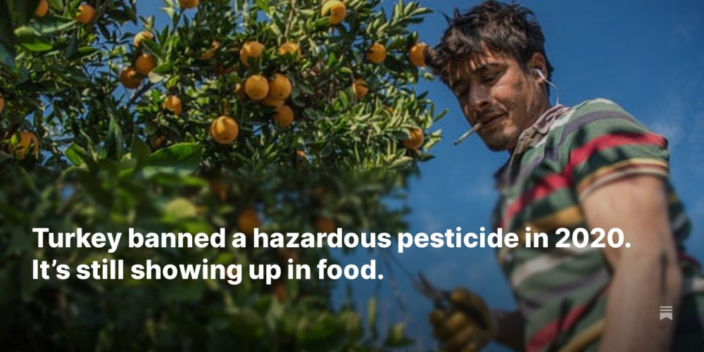 Turkey banned a hazardous pesticide in 2020. It’s still showing up in food.