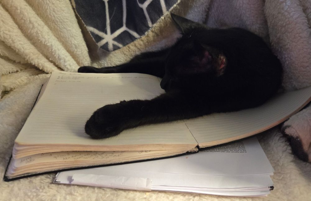 Black cat sleeping on top of opened journal.