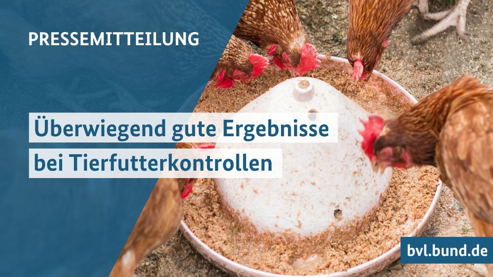 PRESSEMITTEILUNG: Überwiegend gute Ergebnisse bei Tierfutterkontrollen.
Auf dem Bild sieht man Hühner mit Tierfutter.