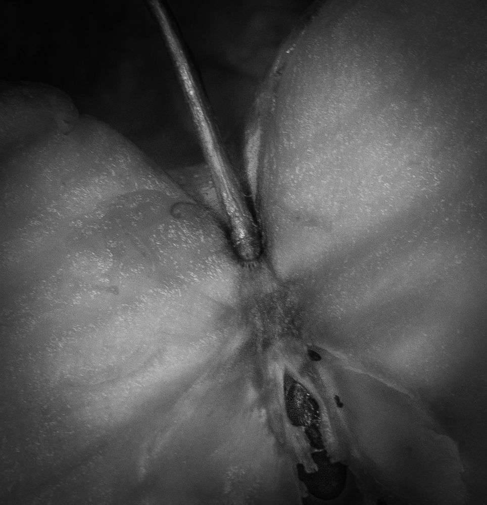 Nudegroup Thomasholmphoto (@thomasholmphoto.bsky.social) — Bluesky