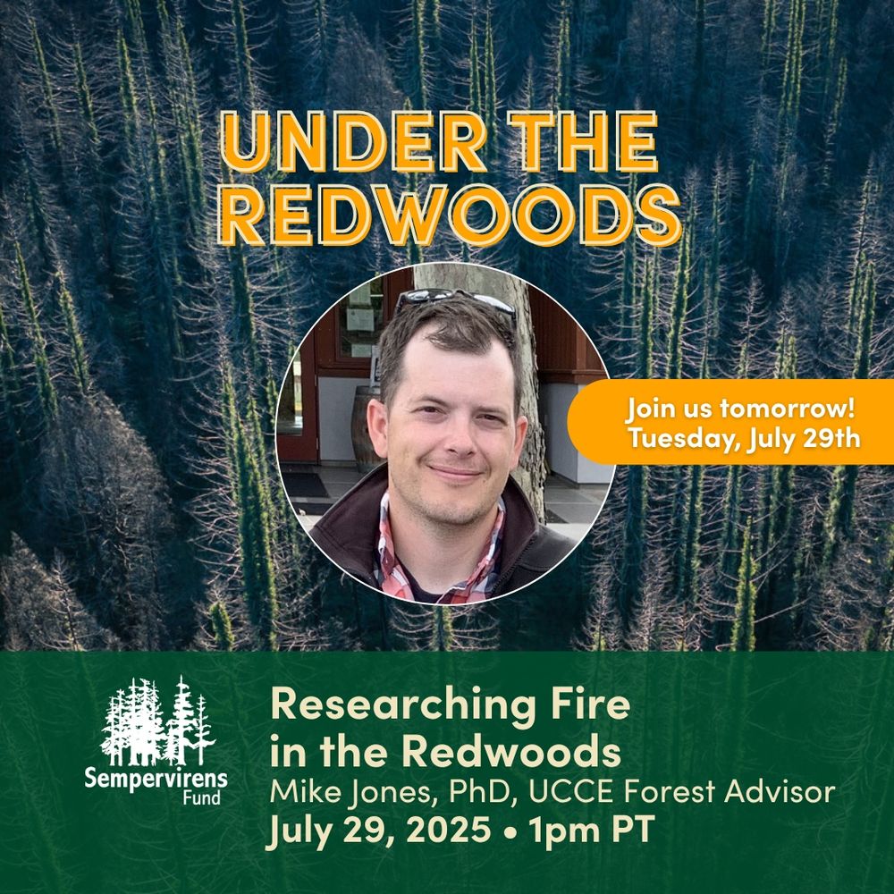 Promotional image for 'Under the Redwoods' event with SemperVirens Fund, featuring a photo of Mike Jones, PhD, UCCE Forest Advisor. Event scheduled for July 29, 2025, at 1pm.