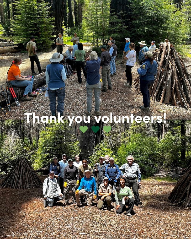 Two images of volunteers in a forest setting. The top photo shows a group standing around a person giving a demonstration. The bottom photo features the group sitting and kneeling, smiling at the camera, with the text 'Thank you volunteers!' overlaying the image.