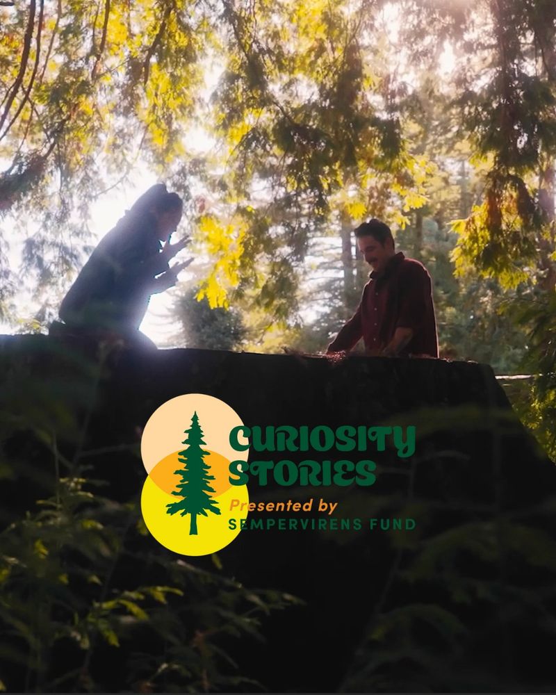Two people sit on top of a redwood tree stump in the forest. In the foreground is the logo for Curiosity Stories presented by Sempervirens Fund.