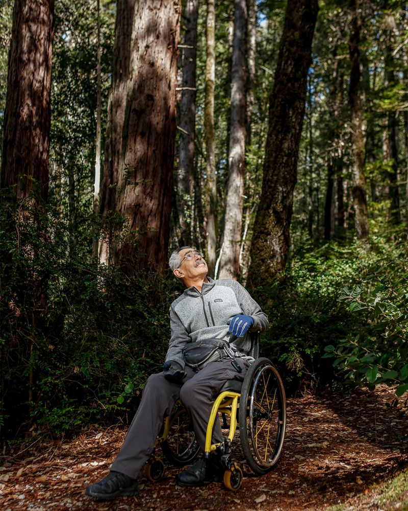 Bob Coomber in a wheelchair admiring tall redwood trees in a forest, bathed in sunlight.