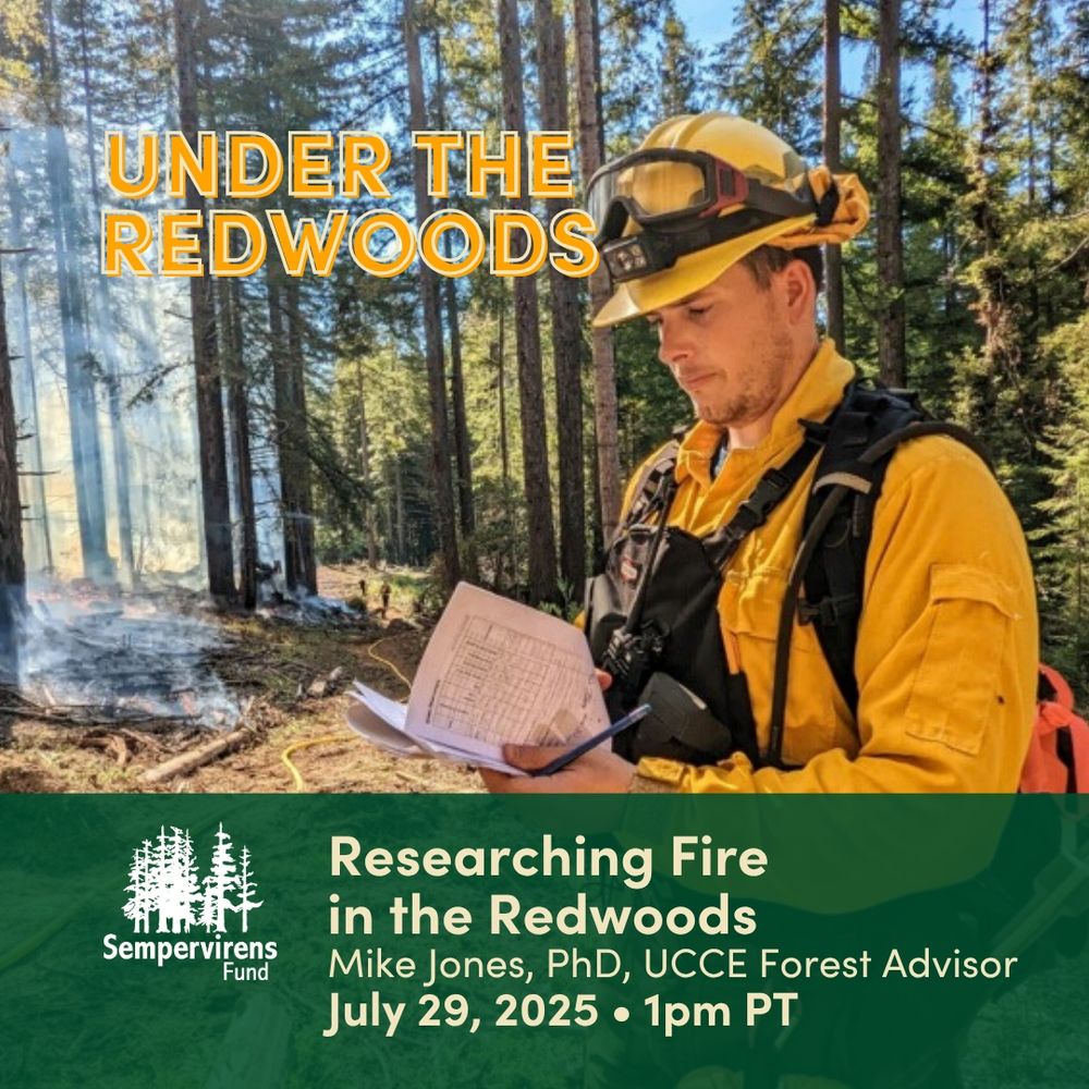 Promotional poster for an event titled 'Under the Redwoods' featuring an individual studying a document in a forest with a controlled burn in the background. The event, organized by Sempervirens Fund, features Mike Jones, PhD, UCCE Forest Advisor, happening on July 29, 2025, at 1pm PT.