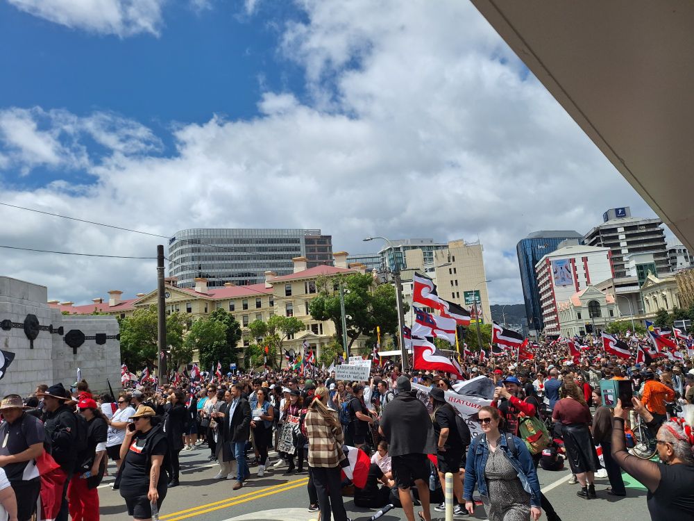 Hikoi below the Parliament