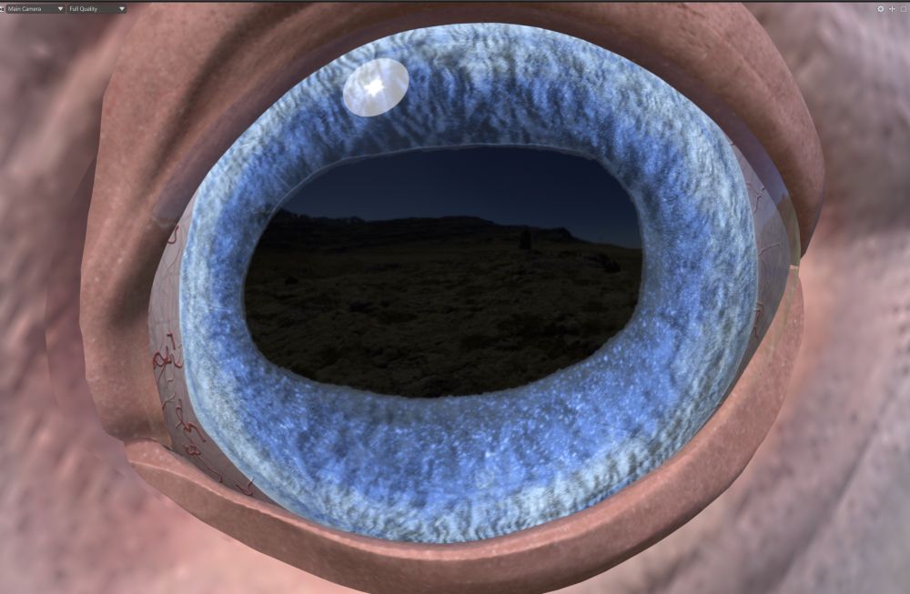 Version one blue horse eye