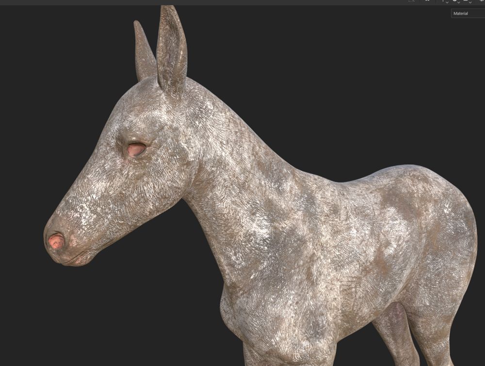 A dominant white gene’d foal body model absolutely covered in mud 